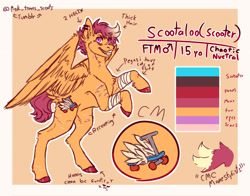 Size: 2048x1606 | Tagged: safe, alternate version, artist:ask-trans-scoots, derpibooru import, scootaloo, scooteroll, pegasus, pony, alternate cutie mark, bandage, bipedal, dyed mane, ear piercing, english, male, piercing, reference sheet, rule 63, scar, self harm, self harm scars, smiling, solo, teenager, trans male, transgender, tumblr:ask trans scootaloo, wings