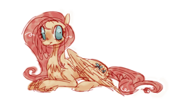 Size: 812x482 | Tagged: safe, artist:burgeredagent, derpibooru import, fluttershy, pegasus, pony, colored sketch, folded wings, simple background, sketch, solo, white background, wide eyes, wings