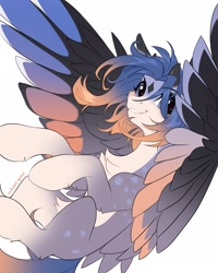 Size: 1729x2160 | Tagged: safe, artist:redchetgreen, derpibooru import, oc, oc only, pegasus, pony, chest fluff, coat markings, facial markings, flying, looking at you, pale belly, simple background, smiling, smiling at you, solo, spread wings, star (coat marking), white background, windswept mane, wings