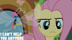 Size: 2000x1125 | Tagged: safe, derpibooru import, edit, edited screencap, editor:quoterific, screencap, fluttershy, seabreeze, it ain't easy being breezies