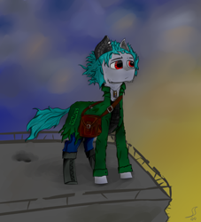 Size: 1000x1100 | Tagged: safe, artist:desperius, derpibooru import, oc, oc only, earth pony, pony, amputee, augmented, bulletproof vest, clothes, cloud, prosthetics, rooftop, simple background, solo