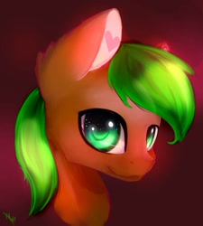 Size: 648x720 | Tagged: safe, artist:minckies, derpibooru import, oc, oc only, earth pony, pony, bust, earth pony oc, signature, smiling, solo