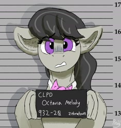 Size: 2010x2136 | Tagged: safe, artist:reddthebat, derpibooru import, octavia melody, earth pony, pony, barbie mugshot meme, ears, female, floppy ears, hoof hold, looking at you, mare, meme, mugshot, solo