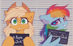 Size: 3000x1900 | Tagged: safe, artist:mirtash, derpibooru import, applejack, rainbow dash, earth pony, pegasus, pony, barbie mugshot meme, duo, duo female, female, mare, meme, mugshot, starry eyes, vulgar, wingding eyes