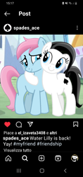 Size: 720x1520 | Tagged: safe, artist:tankman, derpibooru import, oc, oc only, oc:spades ace, oc:water lilly, earth pony, pony, black mane, black tail, blue body, blue eyes, blue skin, description, duo, duo female, female, happy, instagram, light skin, pink mane, pink tail, profile, smiling, tail, white body