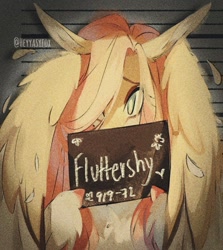 Size: 949x1066 | Tagged: safe, artist:iheyyasyfox, derpibooru import, fluttershy, pegasus, pony, barbie mugshot meme, hair over one eye, looking at you, meme, mugshot, solo