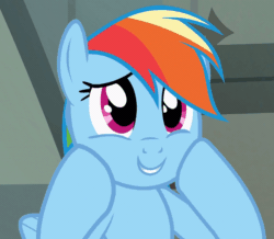 Size: 800x697 | Tagged: safe, derpibooru import, screencap, rainbow dash, pegasus, pony, daring don't, season 4, animated, cropped, cute, daaaaaaaaaaaw, dashabetes, dashface, female, gif, hnnng, hooves on cheeks, hooves on face, implied daring do, mare, rainbow dash is best facemaker, solo, squee, weapons-grade cute