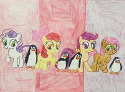 Size: 1280x940 | Tagged: safe, artist:lovetime17, derpibooru import, apple bloom, babs seed, scootaloo, sweetie belle, bird, earth pony, pegasus, penguin, pony, unicorn, crossover, cutie mark crusaders, dreamworks, kowalski, madagascar (dreamworks), private (madagascar), rico, skipper, the penguins of madagascar, traditional art, wholesome