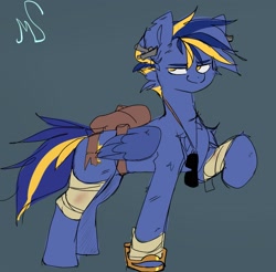 Size: 1965x1932 | Tagged: safe, artist:madiwann, derpibooru import, oc, oc:shining trophy, pegasus, pony, fallout equestria, bandage, blue mane, concave belly, male, post-apocalyptic, raised hoof, raised leg, stallion, sunglasses, wings