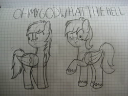 Size: 1280x960 | Tagged: safe, artist:ask-fleetfoot, derpibooru import, oc, oc only, pegasus, pony, graph paper, monochrome, traditional art