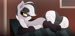 Size: 3362x1621 | Tagged: safe, artist:andaluce, derpibooru import, oc, oc only, oc:bandy cyoot, hybrid, pony, raccoon, raccoon pony, clothes, cute, cute little fangs, draw me like one of your french girls, fangs, female, lineless, lying down, ocbetes, prone, short hair, socks, solo