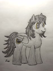 Size: 2408x3208 | Tagged: safe, artist:dust, derpibooru exclusive, derpibooru import, oc, oc:eclipse, pegasus, pony, colored, colored pencil drawing, female, mare, pencil drawing, solo, traditional art