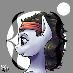 Size: 1280x1280 | Tagged: artist needed, source needed, safe, derpibooru import, oc, oc:null, earth pony, earth pony oc, headband, profile, sogreatandpowerful