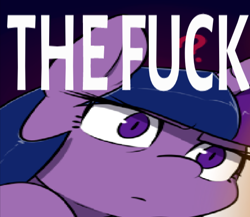 Size: 600x521 | Tagged: safe, artist:slypon, twilight sparkle, twilight sparkle (alicorn), alicorn, pony, caption, image macro, reaction image, solo, text, vulgar