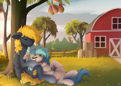 Size: 2486x1770 | Tagged: safe, artist:little-sketches, derpibooru import, oc, oc only, oc:osteen, oc:peacher, pegasus, pony, barn, collar, duo, fence, food, hay bale, mango, pegasus oc, resting, tree