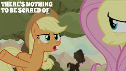 Size: 2000x1125 | Tagged: safe, derpibooru import, edit, edited screencap, editor:quoterific, screencap, applejack, fluttershy, earth pony, pegasus, pony, sounds of silence, duo focus, female, male, mare, quote, raised hoof, raised leg, stallion, stillhoute