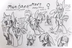 Size: 3836x2529 | Tagged: safe, artist:muffinz, derpibooru import, oc, oc:mundane mare, donkey, earth pony, hybrid, pony, rabbit, animal, hybrid oc, reference sheet, saddle, solo, tack, traditional art