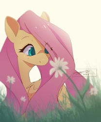 Size: 2500x3000 | Tagged: safe, artist:mindlessnik, derpibooru import, fluttershy, pegasus, pony, cute, eye clipping through hair, female, flower, grass, looking at something, mare, shyabetes, signature, solo