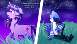 Size: 2000x1152 | Tagged: safe, artist:annazeee, derpibooru import, twilight sparkle, unicorn twilight, anthro, bird, pony, unicorn, airplanes (song), bluebird, crossover, crossover shipping, crying, duo, duo male and female, female, lyrics, male, mare, meme, mordecai, mordetwi, regular show, shipping, straight, text