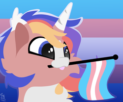 Size: 1800x1500 | Tagged: safe, artist:starcasteclipse, derpibooru import, oc, oc only, pony, unicorn, commission, cute, eyes open, flag, horn, mouth hold, pride, pride flag, pride month, signature, solo, transgender pride flag, ych example, ych result, your character here, your charecter here