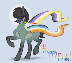 Size: 925x806 | Tagged: safe, artist:frostedsoul, derpibooru exclusive, derpibooru import, oc, oc:california kill, earth pony, pony, aroace pride flag, nonbinary pride flag, ponysona, pride, pride flag, pride month, solo