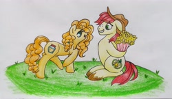 Size: 6399x3717 | Tagged: safe, artist:mintytreble, derpibooru import, bright mac, pear butter, earth pony, pony, atg 2023, brightbutter, female, flirting, flower, male, newbie artist training grounds, shipping, shipping fuel, simple background, straight, traditional art