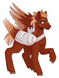 Size: 2100x2800 | Tagged: safe, artist:kikirdcz, derpibooru import, oc, oc only, oc:pavlos, pegasus, pony, bandage, broken bone, broken wing, cast, colored hooves, colored wings, freckles, injured, one wing out, pain, ponified, short tail, simple background, sling, solo, species swap, tail, transparent background, unshorn fetlocks, wings