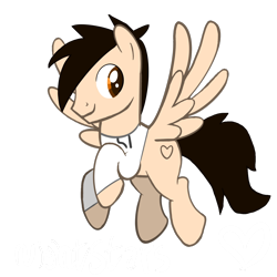 Size: 2048x2048 | Tagged: safe, artist:nightstars_us, derpibooru import, oc, oc only, oc:marco bano, oc:marcos escribano, pegasus, pony, clothes, hoodie, male, pegasus oc, simple background, spread wings, stallion, transparent background, wings