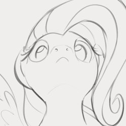 Size: 922x925 | Tagged: safe, artist:dotkwa, derpibooru import, fluttershy, pegasus, pony, female, gray background, grayscale, looking at you, looking down, looking down at you, low angle, mare, monochrome, simple background, solo