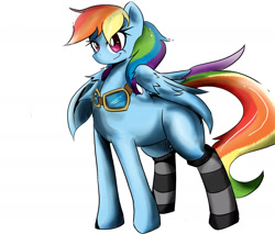 Size: 2000x1700 | Tagged: safe, artist:fenriz278, derpibooru import, rainbow dash, pegasus, pony, clothes, goggles, simple background, socks, solo, striped socks, white background