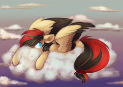 Size: 6009x4251 | Tagged: safe, derpibooru import, oc, oc only, oc:lya the shaikan, pegasus, pony, cloud, colored wings, elepatrium, feather, feathered wings, solo, tail, two toned mane, two toned tail, two toned wings, universe elepatrium, wings