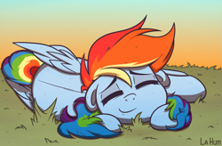 Size: 1649x1080 | Tagged: safe, artist:la hum, derpibooru import, rainbow dash, pegasus, pony, cute, dashabetes, ears, eyes closed, female, floppy ears, grass, mare, sleeping, smiling, solo