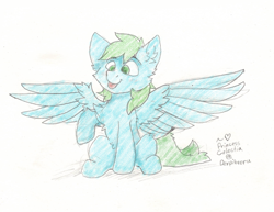 Size: 1171x906 | Tagged: safe, artist:princess celestia, oc, oc only, oc:blu deucee, pegasus, pegasus oc, signature