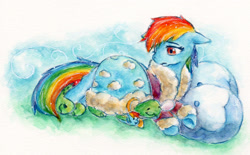 Size: 1545x959 | Tagged: safe, artist:yuzumiso, derpibooru import, rainbow dash, tank, pegasus, pony, tortoise, tanks for the memories, bathrobe, clothes, dashie slippers, duo, ears, female, floppy ears, lying down, mare, pillow, robe, sad, slippers, tank slippers, traditional art, watercolor painting