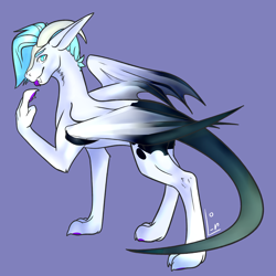 Size: 4000x4000 | Tagged: safe, artist:lake_reu, derpibooru import, oc, dragon, hybrid, pony, colored wings, commission, concave belly, fangs, gradient tail, gradient wings, neck fluff, partially open wings, simple background, slim, solo, tail, thin, wings