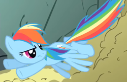 Size: 528x344 | Tagged: safe, derpibooru import, screencap, rainbow dash, pegasus, dragonshy, season 1, annoyed, cropped, dirt, female, flapping, flying, looking back, mare, mouth on side of face, spread wings, wings