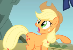 Size: 494x339 | Tagged: safe, derpibooru import, screencap, applejack, earth pony, pony, dragonshy, season 1, applejack's hat, clothes, cowboy hat, cropped, female, freckles, hat, looking at something, mare, raised hoof, raised leg, shocked, solo, surprised