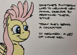 Size: 2048x1480 | Tagged: safe, artist:hoofclid, derpibooru import, fluttershy, pegasus, pony, alternate hairstyle, chest fluff, female, mare, mohawk, smiling, solo, text, traditional art