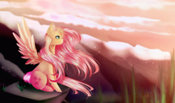 Size: 4000x2375 | Tagged: safe, artist:insaheart, derpibooru import, fluttershy, pegasus, pony, cloud, cloudy, ear fluff, ears, female, frown, high res, mare, princewhateverer, profile, rock, sitting, solo, spread wings, sunset, windswept mane, wings