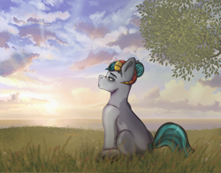 Size: 3000x2350 | Tagged: safe, artist:zarioly, derpibooru import, oc, earth pony, pony, commission, full body, lake, male, sfw version, summer, sun, sunset, water