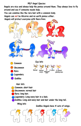 Size: 1943x3000 | Tagged: safe, artist:angellightyt, derpibooru import, oc, oc only, pegasus, base used, female, halo, mare, pegasus oc, reference sheet, simple background, transparent background