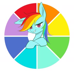 Size: 1949x1857 | Tagged: safe, artist:noupu, derpibooru import, rainbow dash, pegasus, pony, art challenge, color wheel, color wheel challenge, crossed hooves, faic, female, grin, lidded eyes, looking at you, mare, one ear down, simple background, smiling, smiling at you, smug, smugdash, solo, white background
