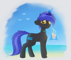 Size: 1920x1620 | Tagged: safe, artist:pollynia, derpibooru import, oc, oc only, oc:pixel shield, pony, unicorn, beach, drink, ears, floppy ears, glasses, looking at you, magic, male, ocean, smiling, smiling at you, smoothie, solo, standing, telekinesis, water