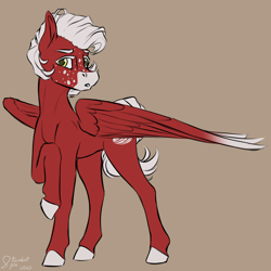 Size: 3600x3600 | Tagged: safe, artist:stardustspix, oc, oc only, oc:manumit to the aethers, pegasus, pony, facial markings, freckles, golden eyes, gradient wings, male, pegasus oc, raised hoof, raised leg, red coat, solo, stallion, white mane