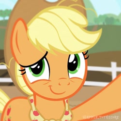 Size: 1080x1080 | Tagged: artist needed, source needed, safe, derpibooru import, applejack, earth pony, pony, the last problem, cute, female, fence, jackabetes, mare, older, older applejack, selfie, solo