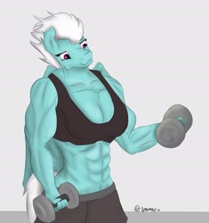 Size: 1902x2027 | Tagged: safe, artist:yo tengo, derpibooru import, fleetfoot, anthro, pegasus, biceps, breasts, busty fleetfoot, clothes, deltoids, dumbbell (object), female, fleetflex, mare, muscles, weights