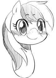 Size: 600x830 | Tagged: safe, artist:nekubi, derpibooru import, rainbow dash, pony, bust, female, looking at you, mare, portrait, sketch, smiling, solo