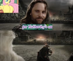 Size: 1920x1604 | Tagged: safe, derpibooru import, edit, fluttershy, pegasus, pony, filli vanilli, aragorn, butt, cropped, female, flutterbutt, lord of the rings, mare, meme, plot, text, vulgar