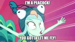 Size: 888x499 | Tagged: safe, derpibooru import, edit, edited screencap, screencap, lyra heartstrings, bird, peacock, all's fair in love and friendship games, equestria girls, animal costume, bird costume, caption, female, image macro, lyrabird, mark wahlberg, solo, text, the other guys