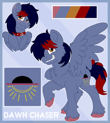 Size: 1701x1900 | Tagged: safe, artist:euspuche, derpibooru import, oc, oc only, oc:dawn chaser, pegasus, pony, blushing, bust, chest fluff, collar, colored hooves, commission, cutie mark, digital art, looking at you, male, pegasus oc, reference sheet, simple background, smiling, solo, spread wings, stallion, tail, two toned mane, two toned tail, wings